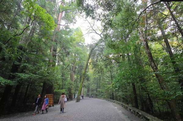 Ise Japan November 2018 Niet Geïdentificeerde Mensen Lopen Bospad Naar — Stockfoto