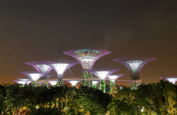 Singapur - 16 Kasım 2018: Defne Singapur Bahçe