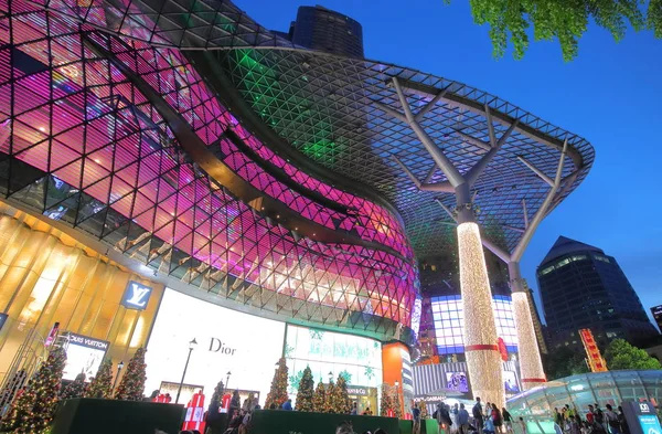 新加坡 2018年11月17日 身份不明的人参观新加坡乌节路的 Ion Orchard 购物中心 — 图库照片