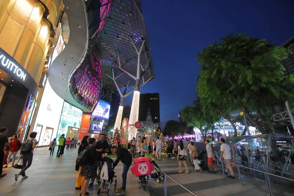 新加坡 2018年11月17日 身份不明的人参观新加坡乌节路的 Ion Orchard 购物中心 — 图库照片