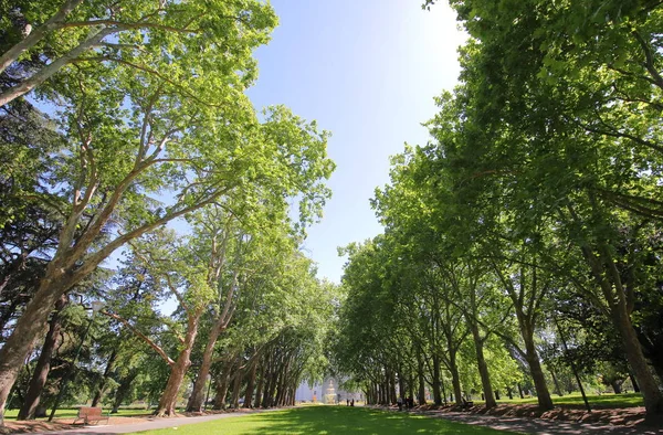 Carlton Garden Melbourne Austrália — Fotografia de Stock