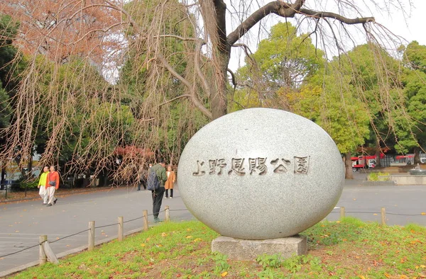 Tokio Japón Diciembre 2018 Personas Identificadas Visitan Parque Ueno Tokio —  Fotos de Stock