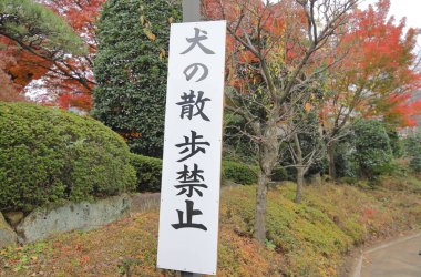 Hiçbir köpek yürüyüş Tokyo Japonya imzala. Japonca - hiçbir köpek yürüyen için çeviri