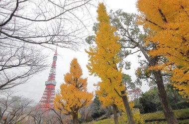 Tokyo Tower Tokyo Japonya