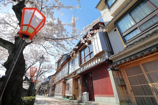 Kwiat Wiśni Higashiyama Teahouse Stary Dom Ulica Kanazawa Japonia — Zdjęcie stockowe