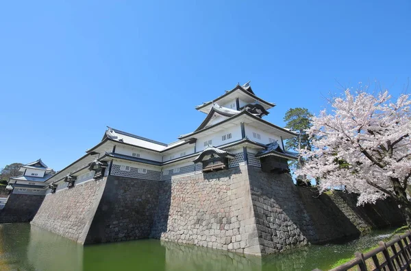 Kanazawa Stary Zamek Wiśniowy Kwiat Drzewo Japonia — Zdjęcie stockowe