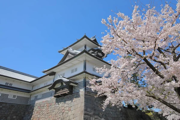 金沢古城桜日本 — ストック写真