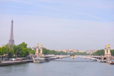 Seine nehri Eyfel kulesi şehir manzarası Paris Fransa