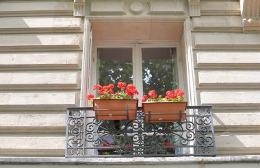 Saksı pencere kutusu Paris Fransa