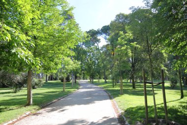 El Retiro park bahçe Madrid İspanya