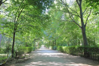 El Retiro park bahçe Madrid İspanya