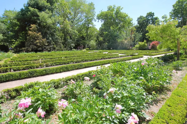 Jardim Botânico Madrid Espanha — Fotografia de Stock