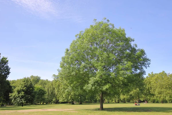 Zielony Park Gród Londyn — Zdjęcie stockowe