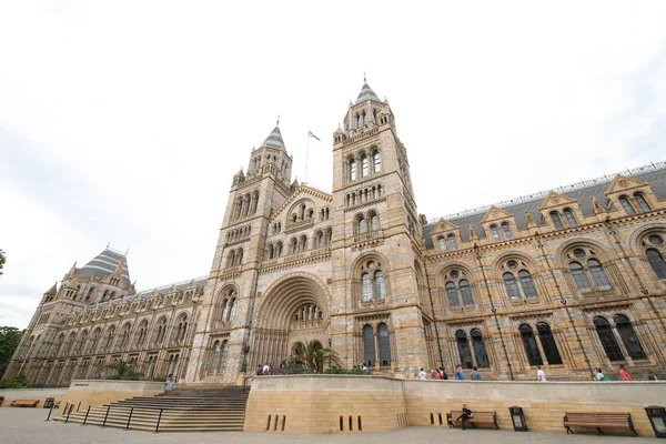 Londres Inglaterra Junio 2019 Personas Identificadas Visitan Museo Historia Natural — Foto de Stock