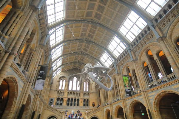 London England June 2019 Unidentified People Visit Natural History Museum — Stock Photo, Image