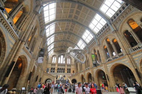 London England Juni 2019 Unbekannte Besuchen Naturhistorisches Museum London — Stockfoto