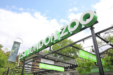 Londra İngiltere - 3 Haziran 2019: Zsl Londra Hayvanat Bahçesi Londra İngiltere