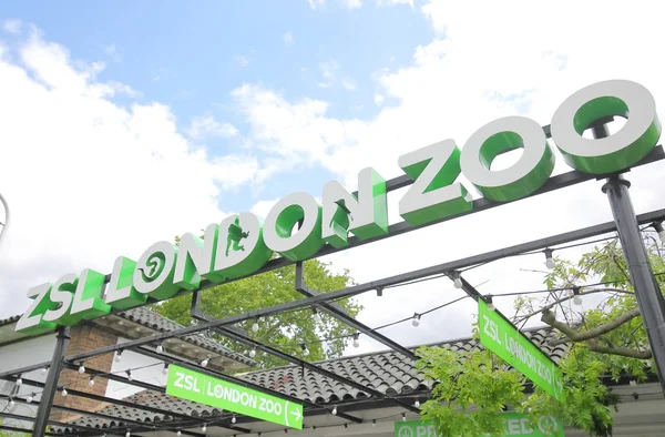 Londen Engeland Juni 2019 Zsl London Zoo Londen — Stockfoto