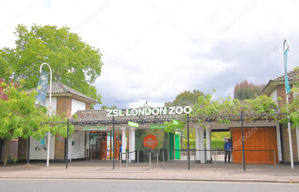 LONDON ENGLAND - JUNE 3, 2019: Unidentified people work at ZSL London Zoo London UK