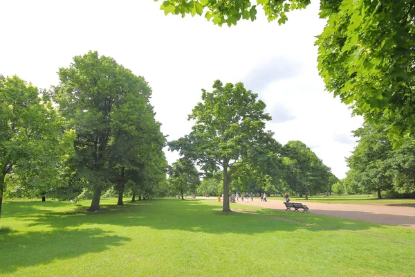 Kensington Gardens Naturaleza Londres Reino Unido — Foto de Stock