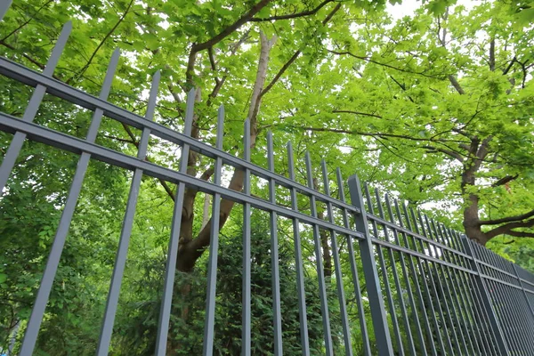 Siyah çit ve orman doğa arka plan