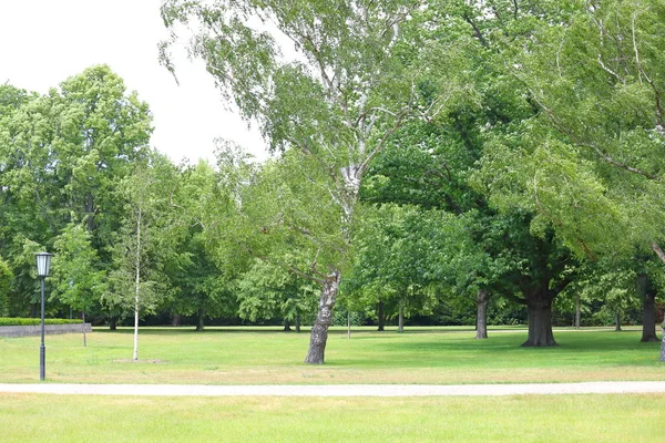 Berlin Almanya Tiergarten Park Bahçesi — Stok fotoğraf