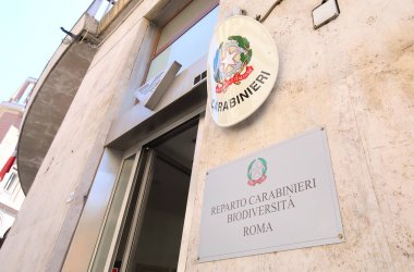 Roma İtalya - 13 Haziran 2019: Carabinieri biyolojik çeşitlilik askeri polis gücü Roma İtalya
