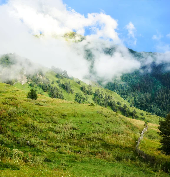 Bela Paisagem Montanhosa Com Cume Coberto Por Nuvens Prados Montanhosos — Fotografia de Stock