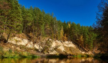 Nehir yakınındaki ormanda sonbahar