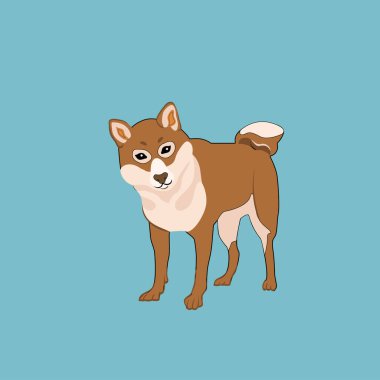 Açık mavi sahnenin önünde sevimli bir köpek
