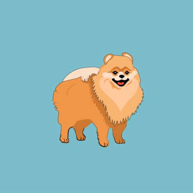 Açık mavi sahnenin önünde sevimli bir köpek