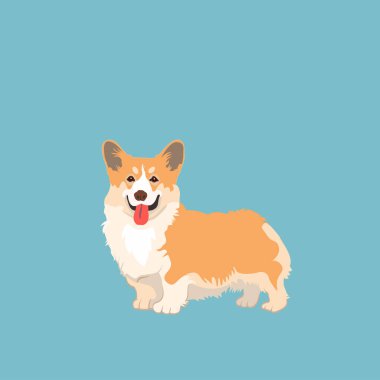 Açık mavi sahnenin önünde sevimli bir köpek