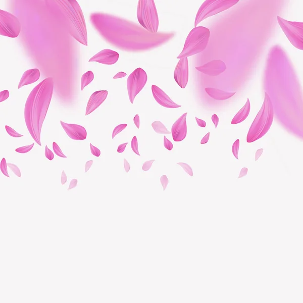 Літаючих рожеві пелюстки — стоковий вектор