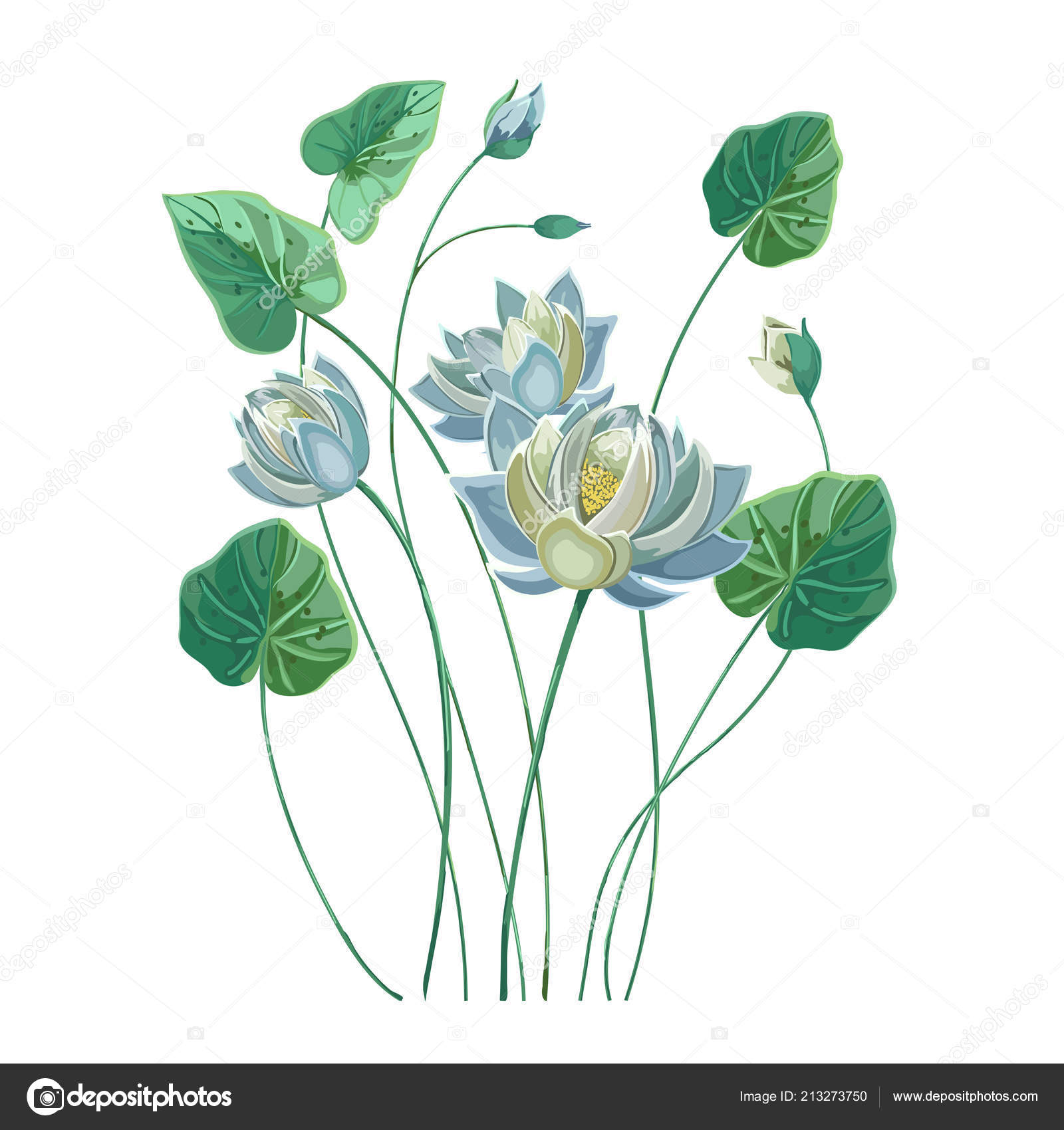 Blue Lotus Drawing Composition Blue Lotus Flower Green Leaves Hand Drawn Style Pastel Stock Vector C Tanyalmera 213273750