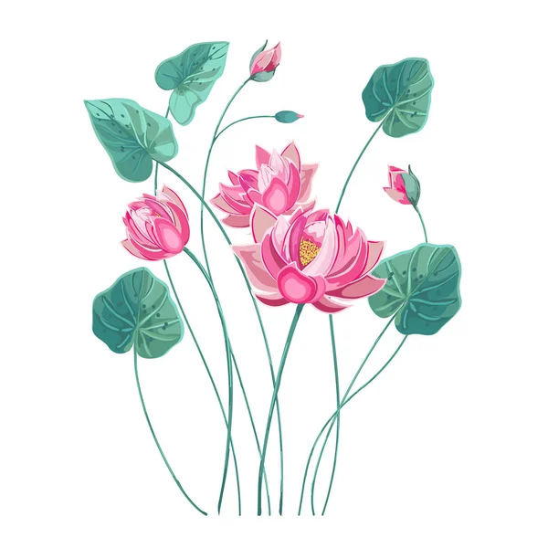 Composición de flor de loto rosa con hojas verdes — Vector de stock