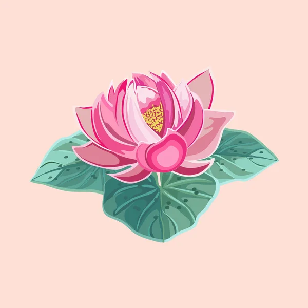 緑の葉のクローズ アップでピンクの蓮の花 — ストックベクタ