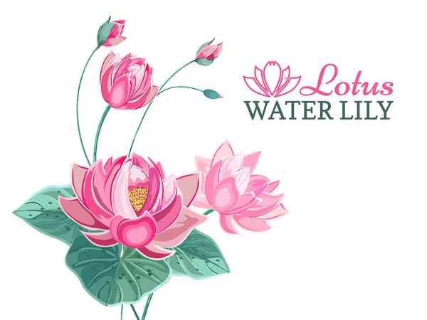 Composición de flor de loto rosa con hojas verdes — Vector de stock