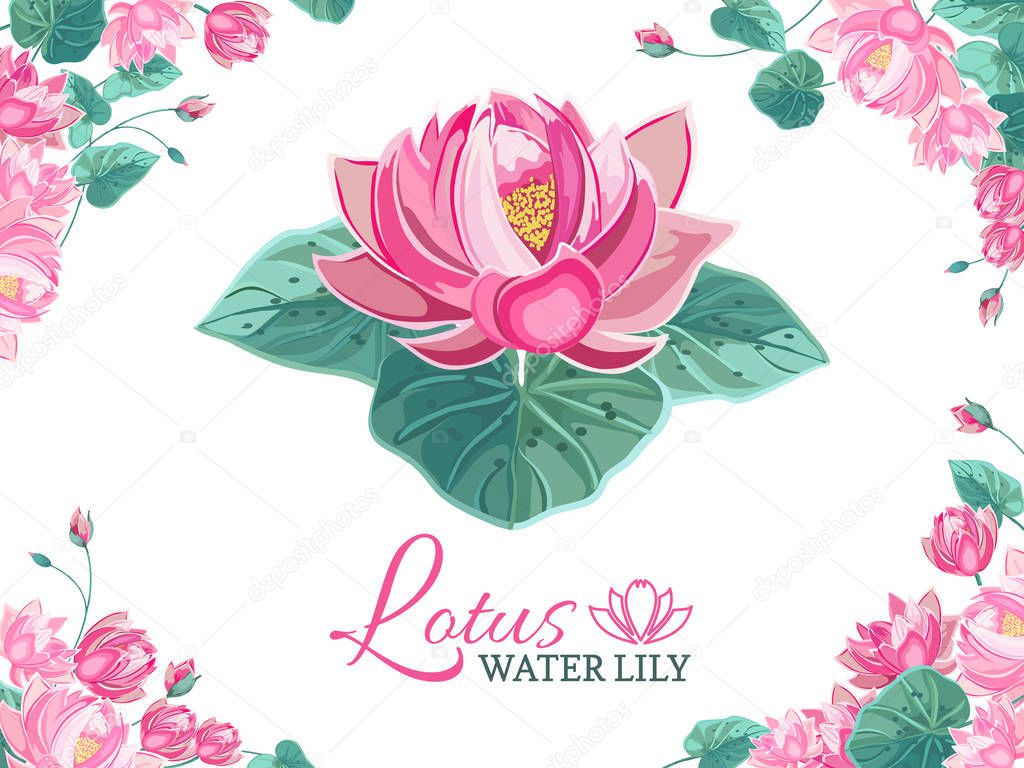 Frame on background of pink lotus flowers