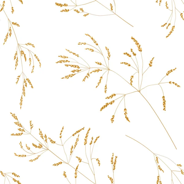 Naadloze patroon van granen planten. Spikelets met korrel — Stockvector