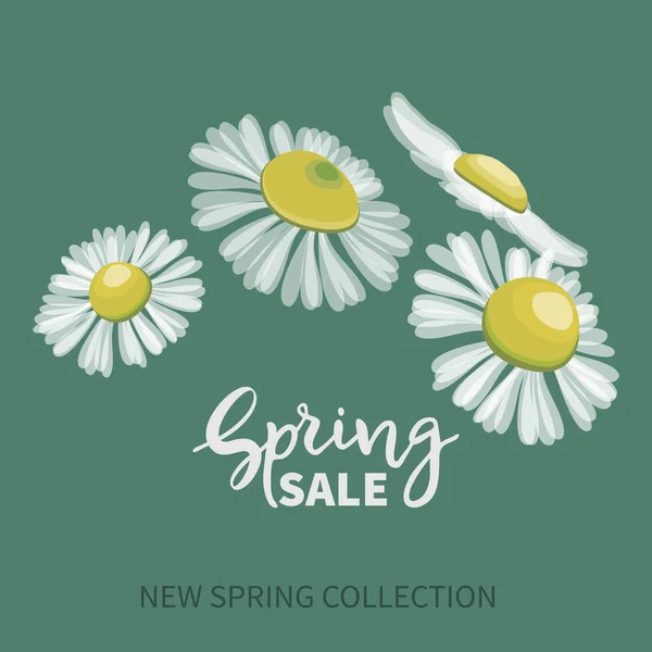 Spring SALE,hand written lettering. Banner with bouquet of daisies — 스톡 벡터