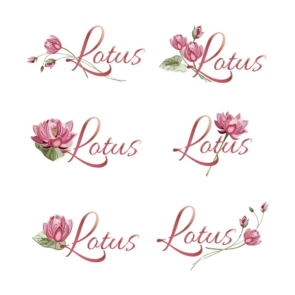 Készlet Virág Csokrok Gyönyörű Pink Lotus Kötött Gyűjtemény Virág Csokor — Stock Vector