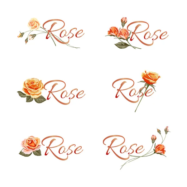 Set of floral bouquets with yellow orange roses.Logo, template,brand — Stock Vector