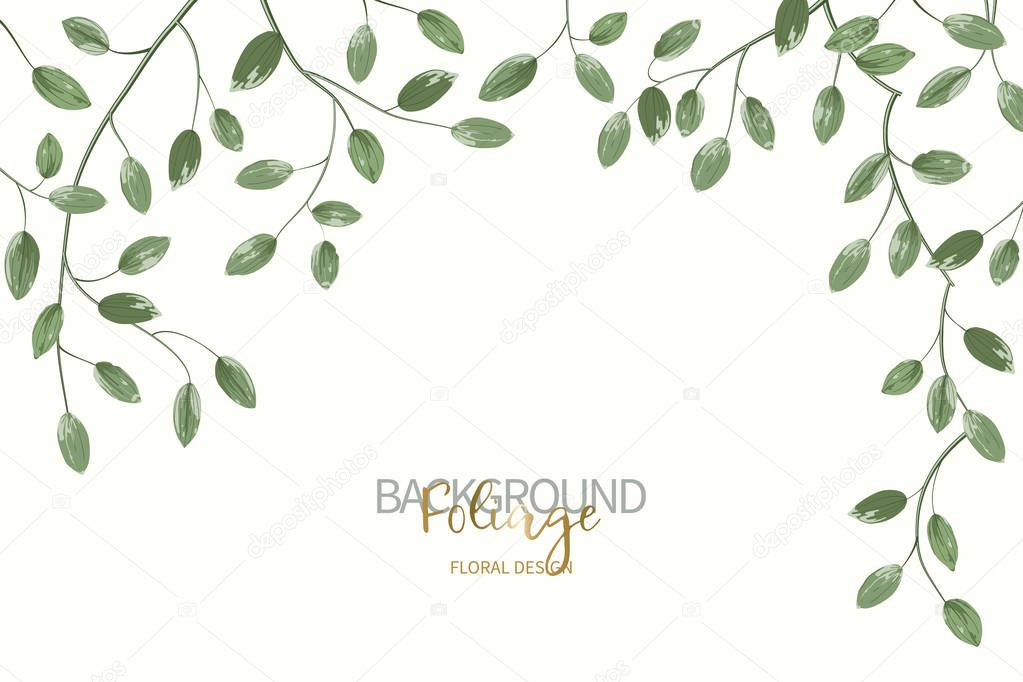 Floral background with green leaves. Composition branch with exotic tropical leaves