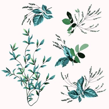 Dizi çiçek buketleri, koleksiyon çiçek kompozisyon, beyaz zemin üzerine yeşil.