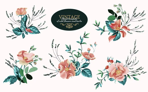 Uppsättning av floral buketter, arrangemang med vackra vita wild rose — Stock vektor