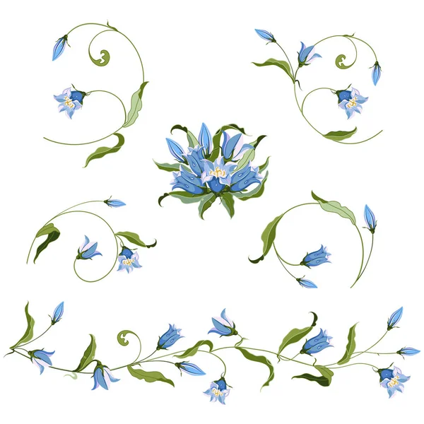 Collectie van de hand getekende blauwe bell bloem, samenstelling — Stockvector