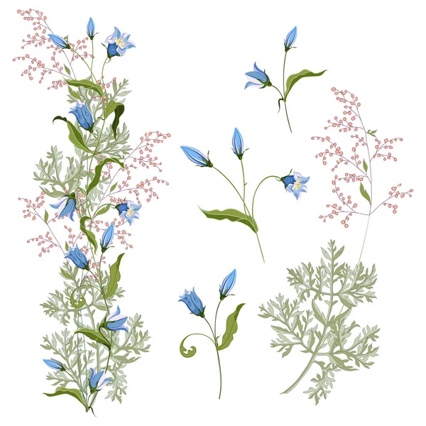 Kolekcja kwiatowy kilka bluebell kwiaty rysowane ręcznie i kwitnienia piołunu — Wektor stockowy