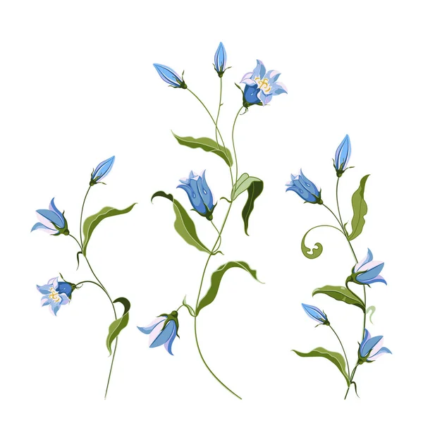 Συλλογή από χέρι συρμένο ΒΕΖΑΛ λουλούδι, σύνθεση — Διανυσματικό Αρχείο