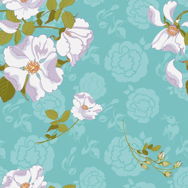 Fundo floral com bela rosa selvagem branco espalhado aleatório — Vetor de Stock