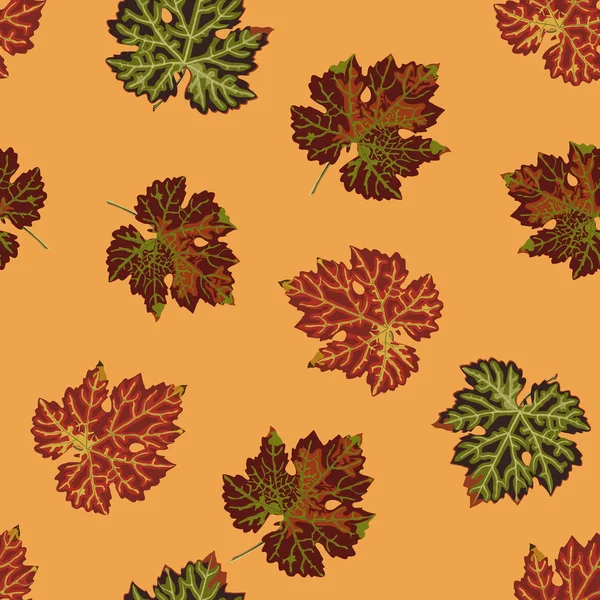 Herfst achtergrond van kleurrijke druivenbladeren verspreid willekeurig. — Stockvector